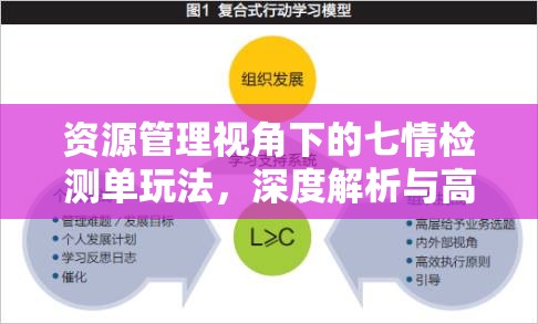 资源管理视角下的七情检测单玩法，深度解析与高效利用策略