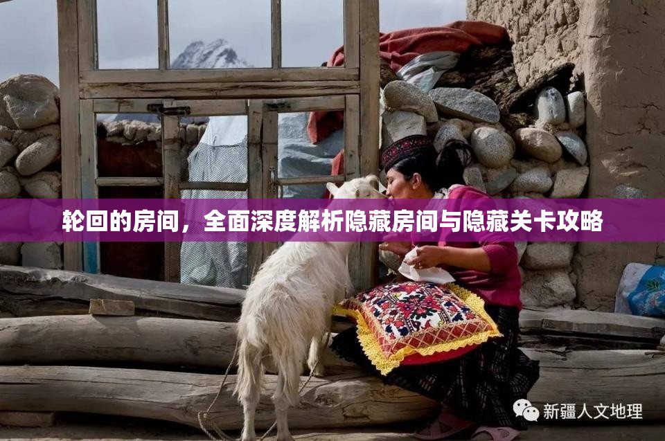 轮回的房间，全面深度解析隐藏房间与隐藏关卡攻略