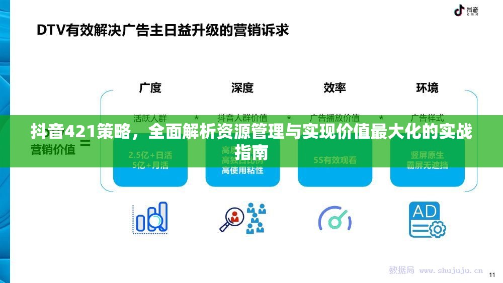 抖音421策略，全面解析资源管理与实现价值最大化的实战指南