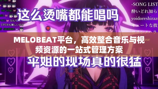 MELOBEAT平台，高效整合音乐与视频资源的一站式管理方案