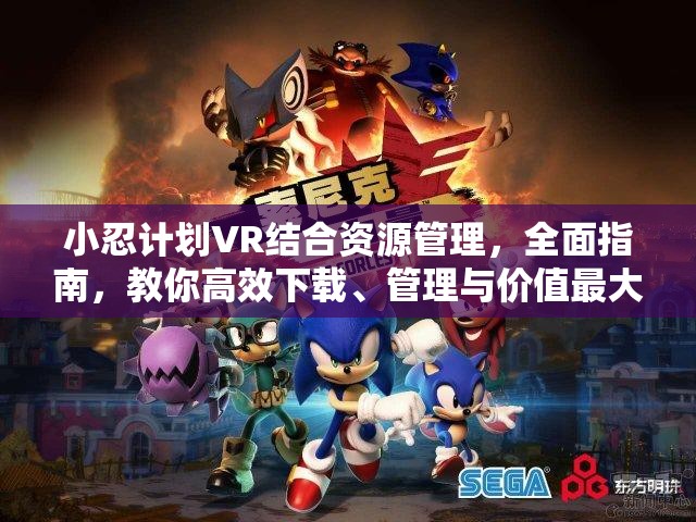 小忍计划VR结合资源管理，全面指南，教你高效下载、管理与价值最大化