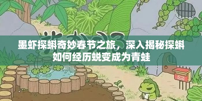 墨虾探蝌奇妙春节之旅，深入揭秘探蝌如何经历蜕变成为青蛙