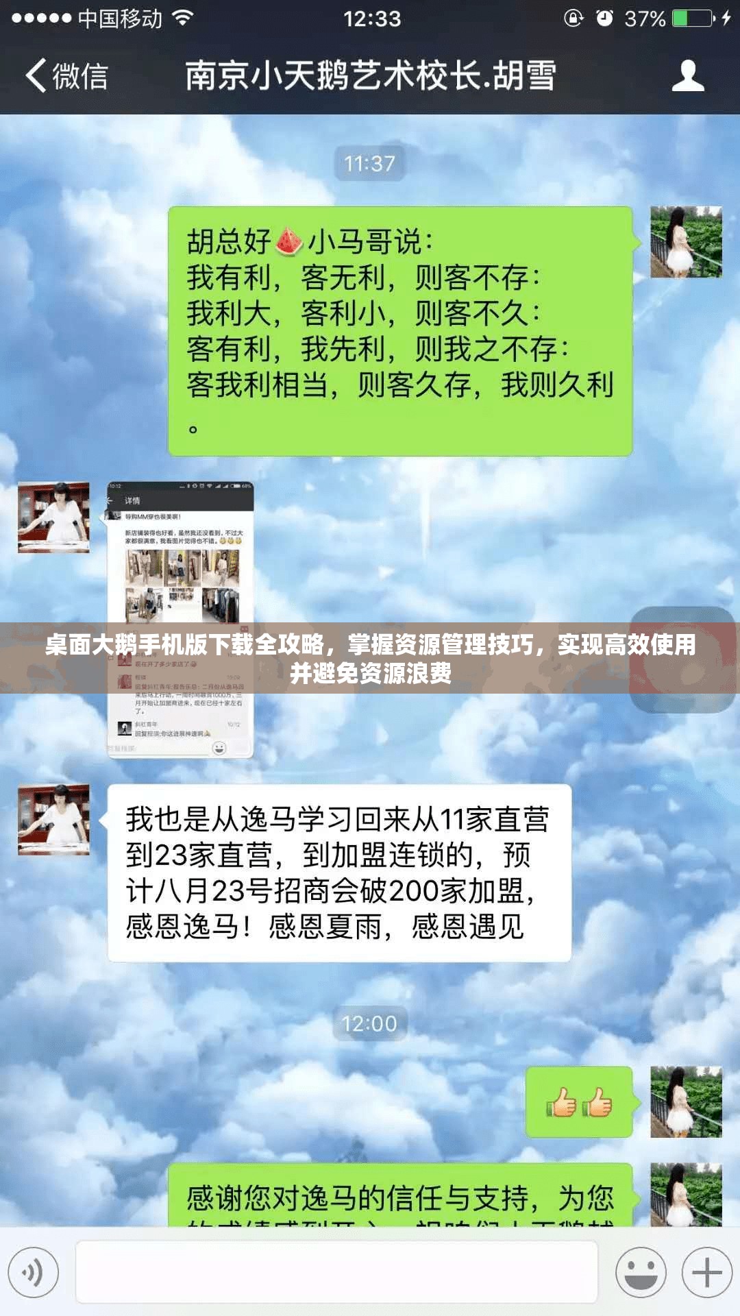 桌面大鹅手机版下载全攻略，掌握资源管理技巧，实现高效使用并避免资源浪费