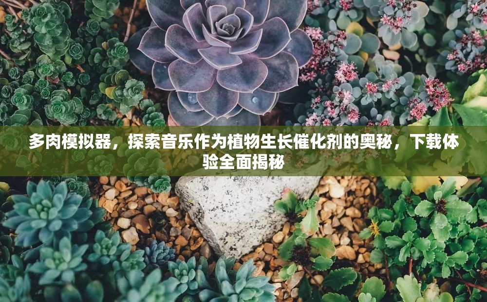 多肉模拟器，探索音乐作为植物生长催化剂的奥秘，下载体验全面揭秘