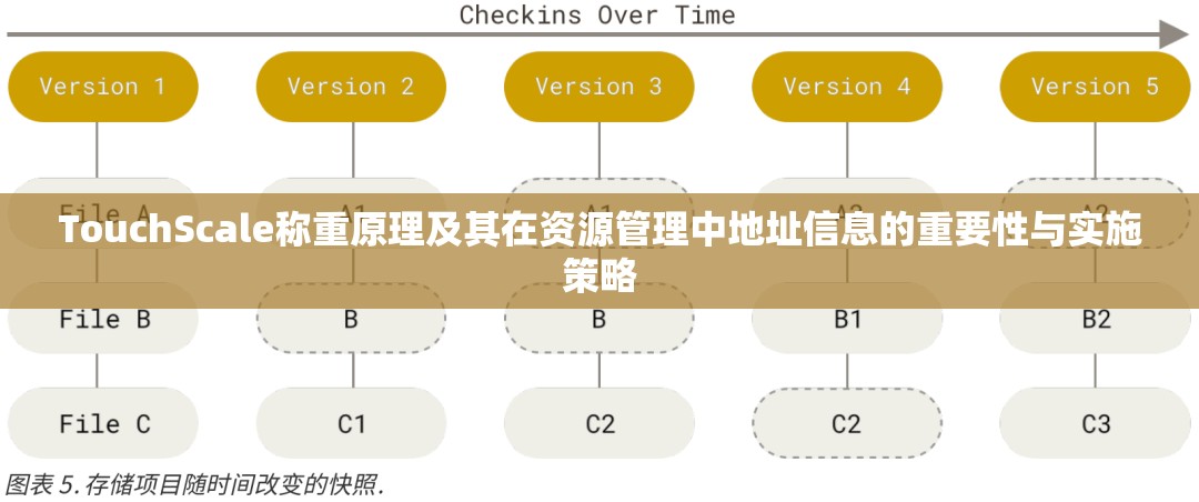 TouchScale称重原理及其在资源管理中地址信息的重要性与实施策略