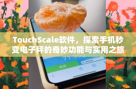 TouchScale软件，探索手机秒变电子秤的奇妙功能与实用之旅