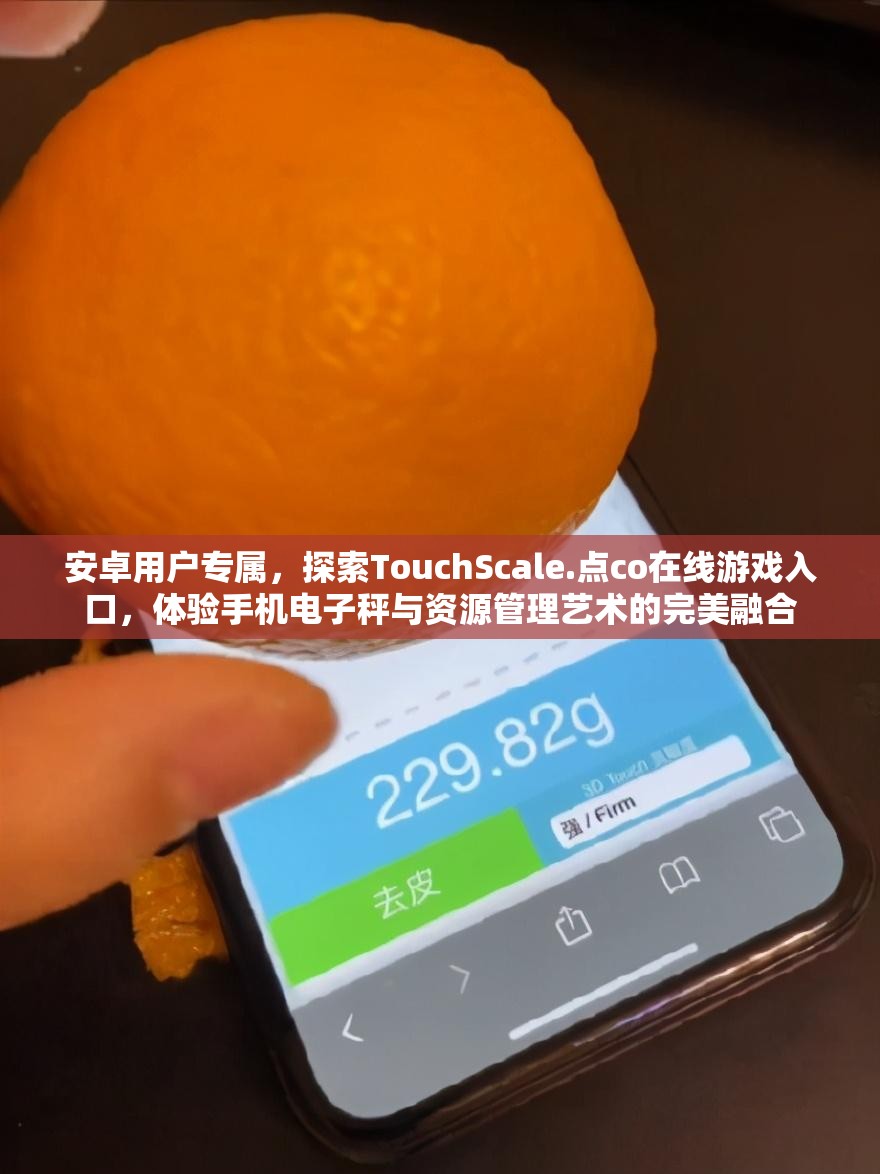 安卓用户专属，探索TouchScale.点co在线游戏入口，体验手机电子秤与资源管理艺术的完美融合