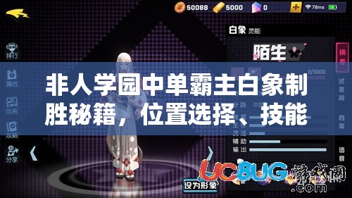 非人学园中单霸主白象制胜秘籍，位置选择、技能加点及实战团战深度攻略