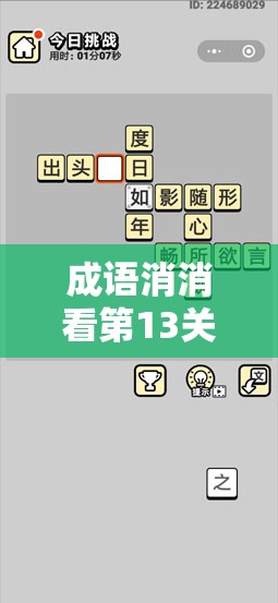 成语消消看第13关深度解析，一场融合智慧挑战与娱乐趣味的文字盛宴