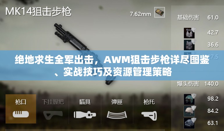 绝地求生全军出击，AWM狙击步枪详尽图鉴、实战技巧及资源管理策略