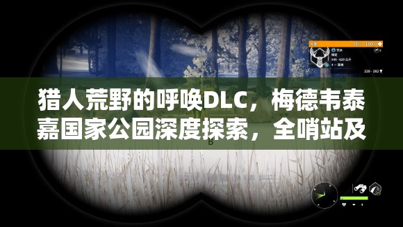 猎人荒野的呼唤DLC，梅德韦泰嘉国家公园深度探索，全哨站及地标资源管理策略艺术