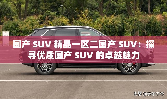 国产 SUV 精品一区二国产 SUV：探寻优质国产 SUV 的卓越魅力