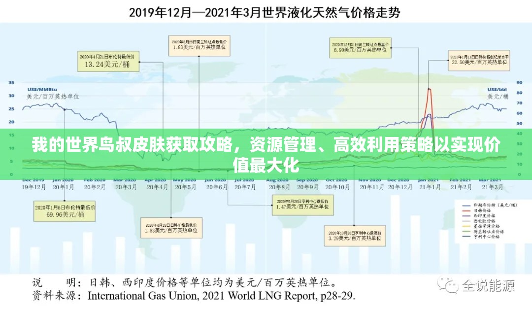 我的世界鸟叔皮肤获取攻略，资源管理、高效利用策略以实现价值最大化