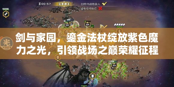 剑与家园，鎏金法杖绽放紫色魔力之光，引领战场之巅荣耀征程