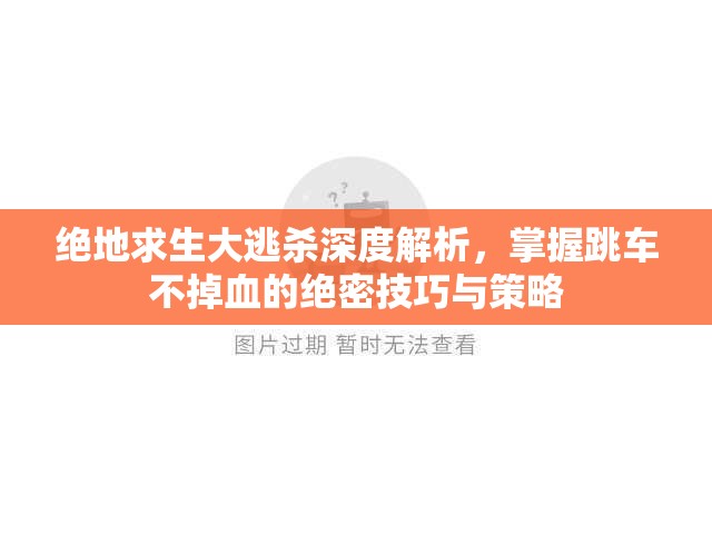 绝地求生大逃杀深度解析，掌握跳车不掉血的绝密技巧与策略