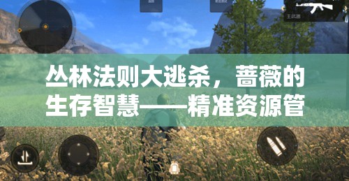 丛林法则大逃杀，蔷薇的生存智慧——精准资源管理与高效武器选择策略