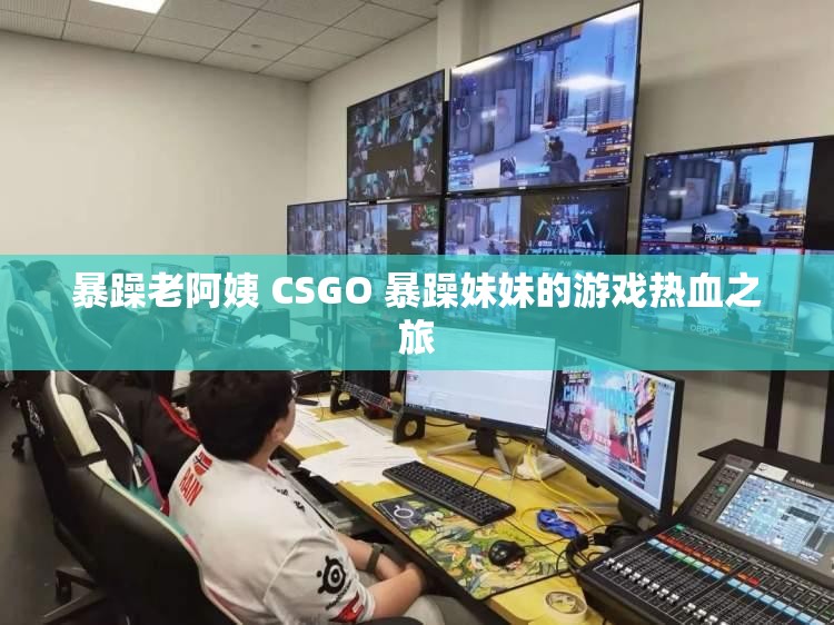 暴躁老阿姨 CSGO 暴躁妹妹的游戏热血之旅