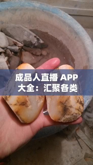 成品人直播 APP 大全：汇聚各类精彩直播应用