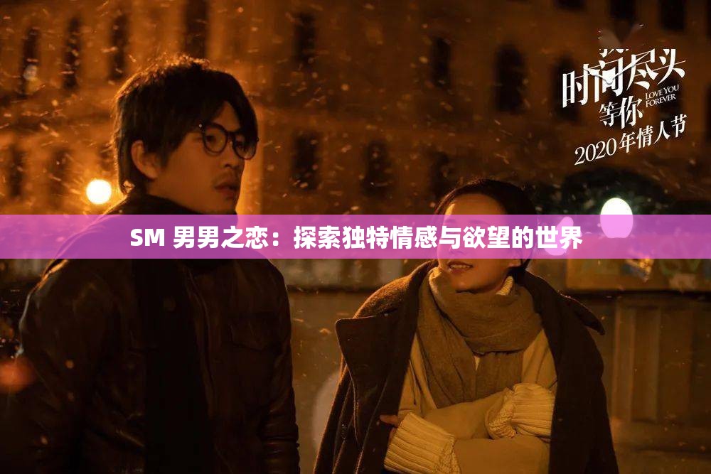 SM 男男之恋：探索独特情感与欲望的世界