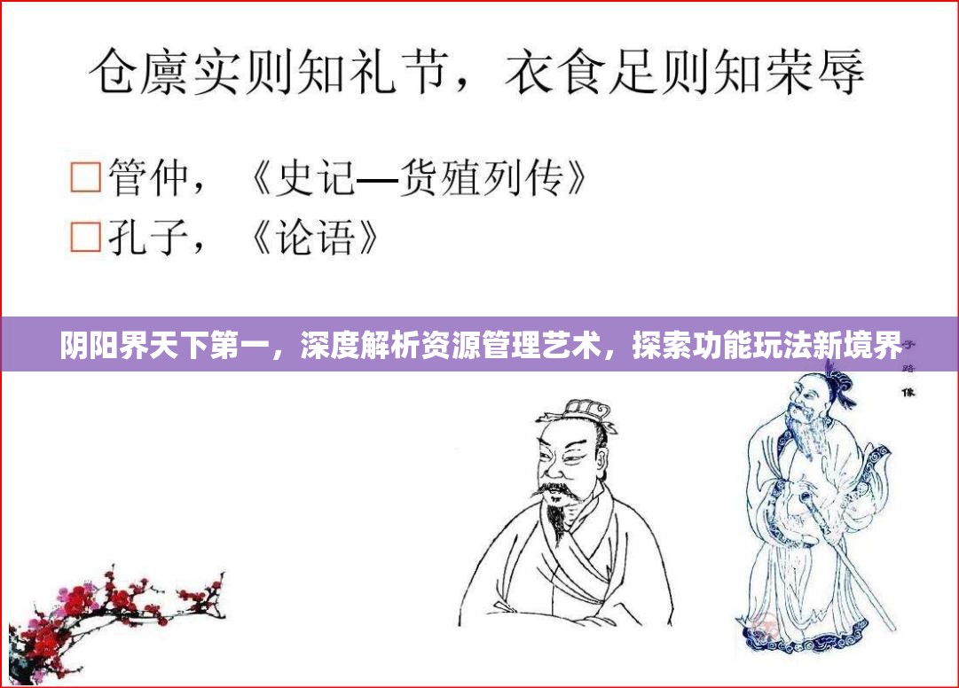 阴阳界天下第一，深度解析资源管理艺术，探索功能玩法新境界
