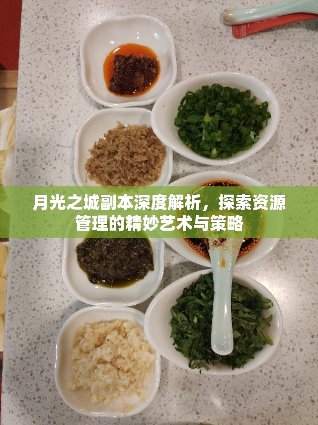 月光之城副本深度解析，探索资源管理的精妙艺术与策略