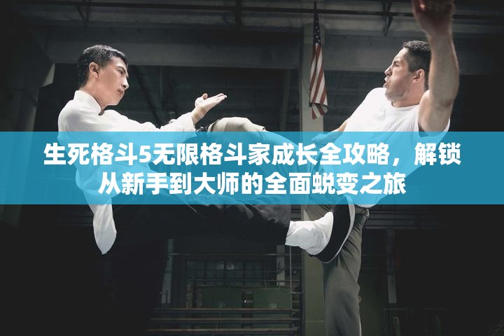 生死格斗5无限格斗家成长全攻略，解锁从新手到大师的全面蜕变之旅