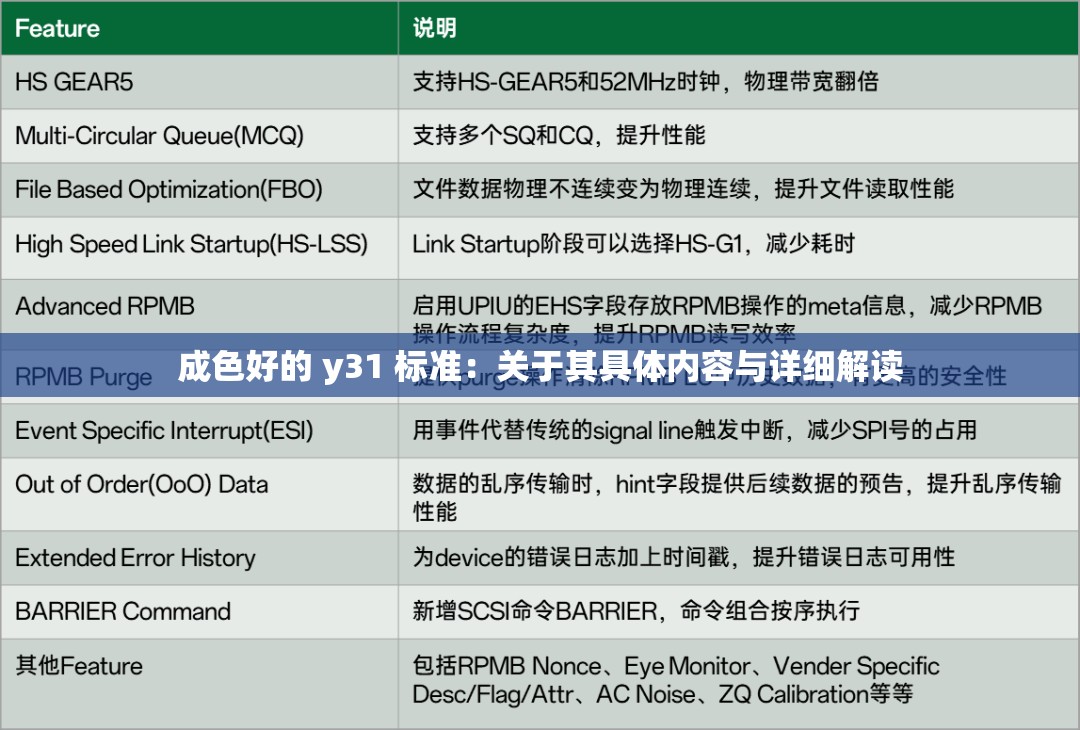 成色好的 y31 标准：关于其具体内容与详细解读