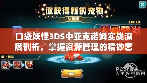 口袋妖怪3DS中亚克诺姆实战深度剖析，掌握资源管理的精妙艺术