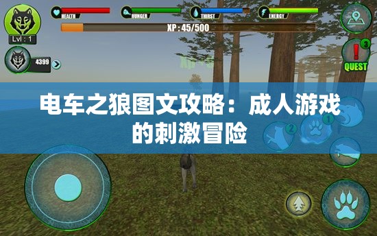 电车之狼图文攻略：成人游戏的刺激冒险