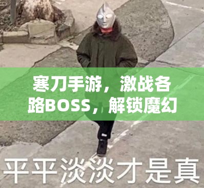 寒刀手游，激战各路BOSS，解锁魔幻世界的无尽挑战与冒险之旅