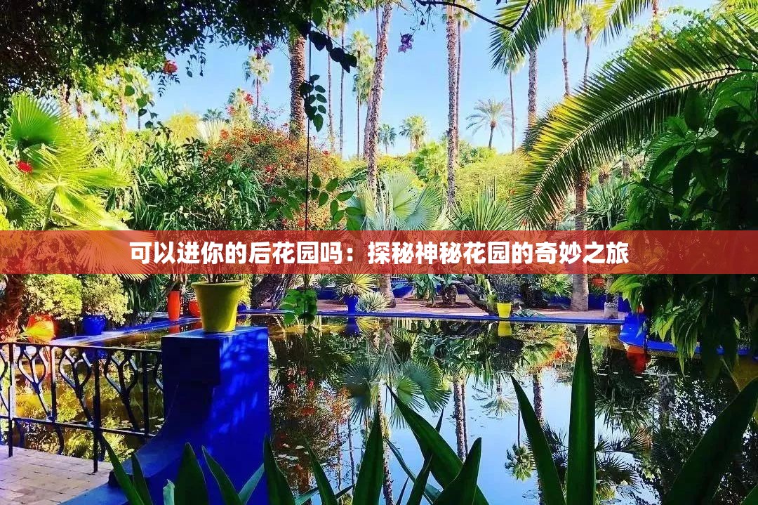 可以进你的后花园吗：探秘神秘花园的奇妙之旅