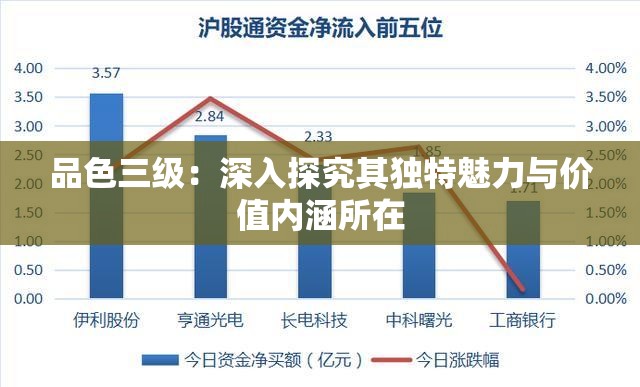 品色三级：深入探究其独特魅力与价值内涵所在