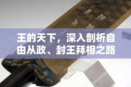 王的天下，深入剖析自由从政、封王拜相之路及其文治武功成就