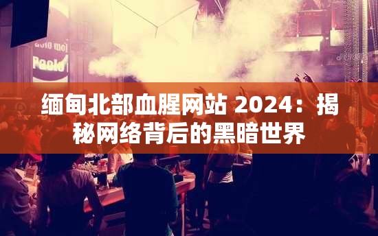 缅甸北部血腥网站 2024：揭秘网络背后的黑暗世界