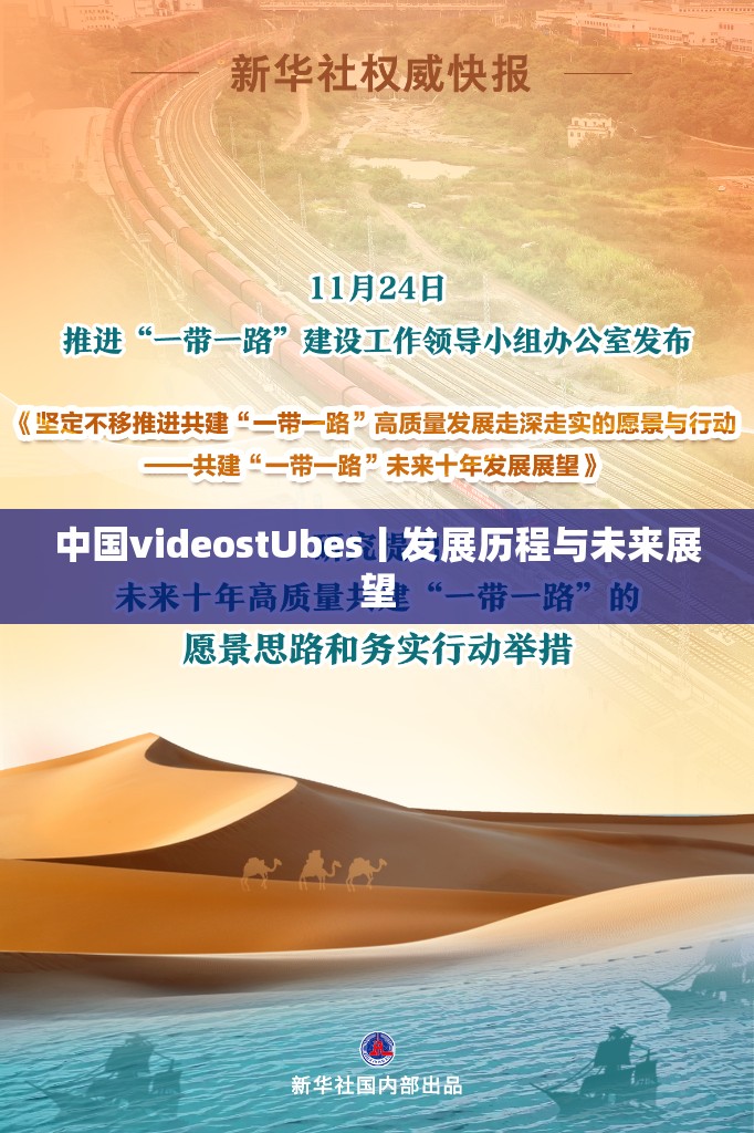 中国videostUbes丨发展历程与未来展望