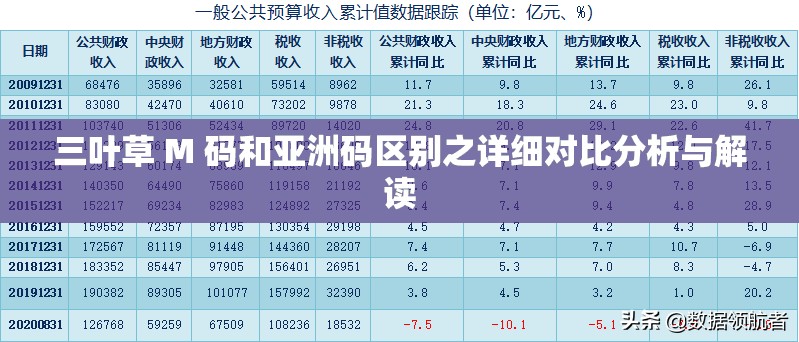 三叶草 M 码和亚洲码区别之详细对比分析与解读