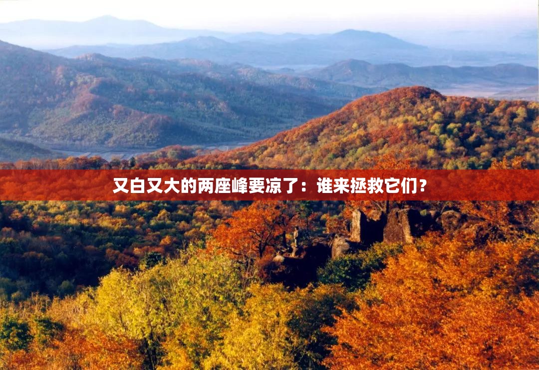 又白又大的两座峰要凉了：谁来拯救它们？