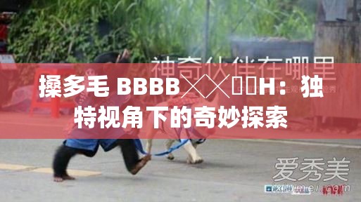 搡多毛 BBBB╳╳乂乂H：独特视角下的奇妙探索