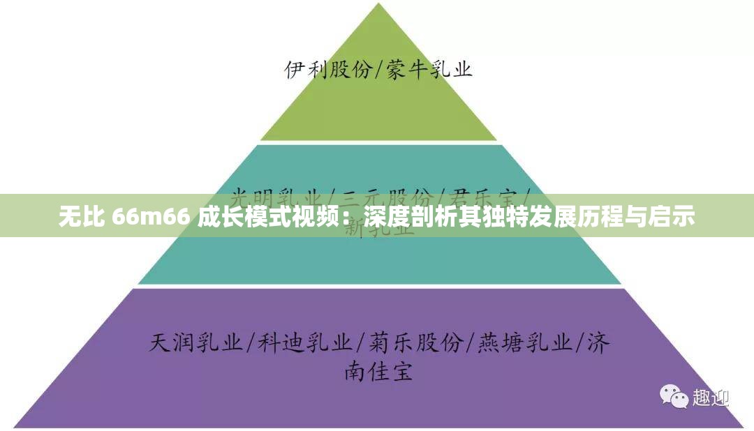 无比 66m66 成长模式视频：深度剖析其独特发展历程与启示