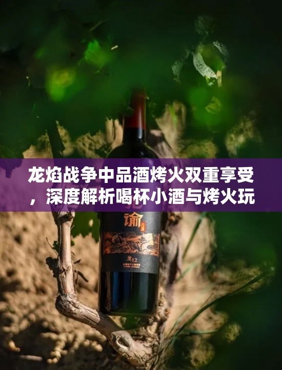 龙焰战争中品酒烤火双重享受，深度解析喝杯小酒与烤火玩法中的资源管理艺术