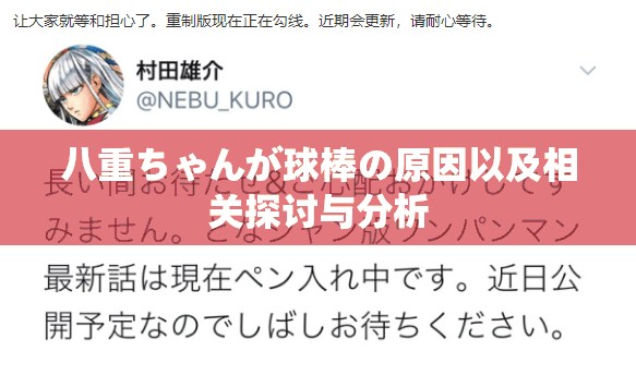 八重ちゃんが球棒の原因以及相关探讨与分析