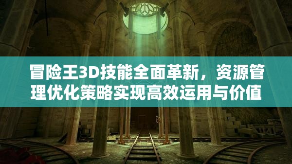 冒险王3D技能全面革新，资源管理优化策略实现高效运用与价值最大化