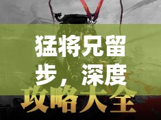 猛将兄留步，深度解析武将夏侯渊——策略与资源管理并重的战场锋刃