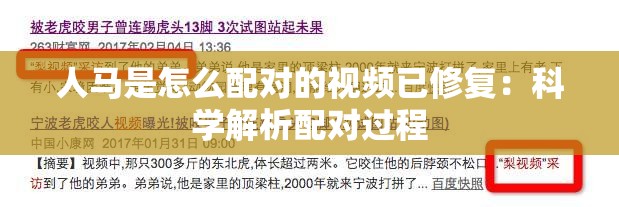 人马是怎么配对的视频已修复：科学解析配对过程