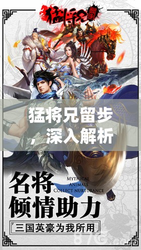 猛将兄留步，深入解析智勇双全的江东霸主——孙权武将介绍