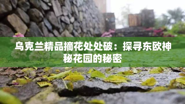 乌克兰精品摘花处处破：探寻东欧神秘花园的秘密