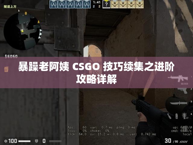 暴躁老阿姨 CSGO 技巧续集之进阶攻略详解