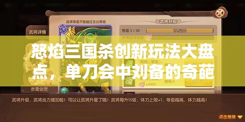 怒焰三国杀创新玩法大盘点，单刀会中刘备的奇葩战术运用