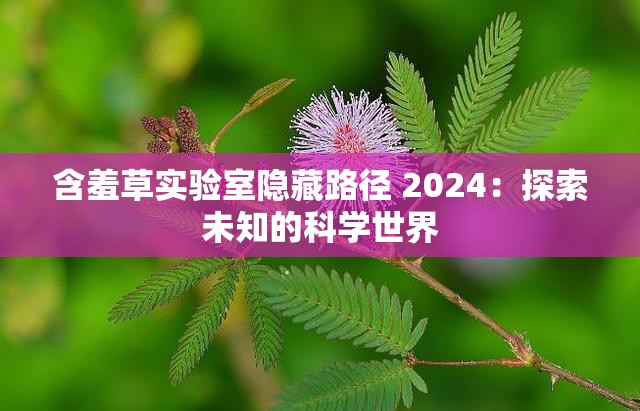 含羞草实验室隐藏路径 2024：探索未知的科学世界