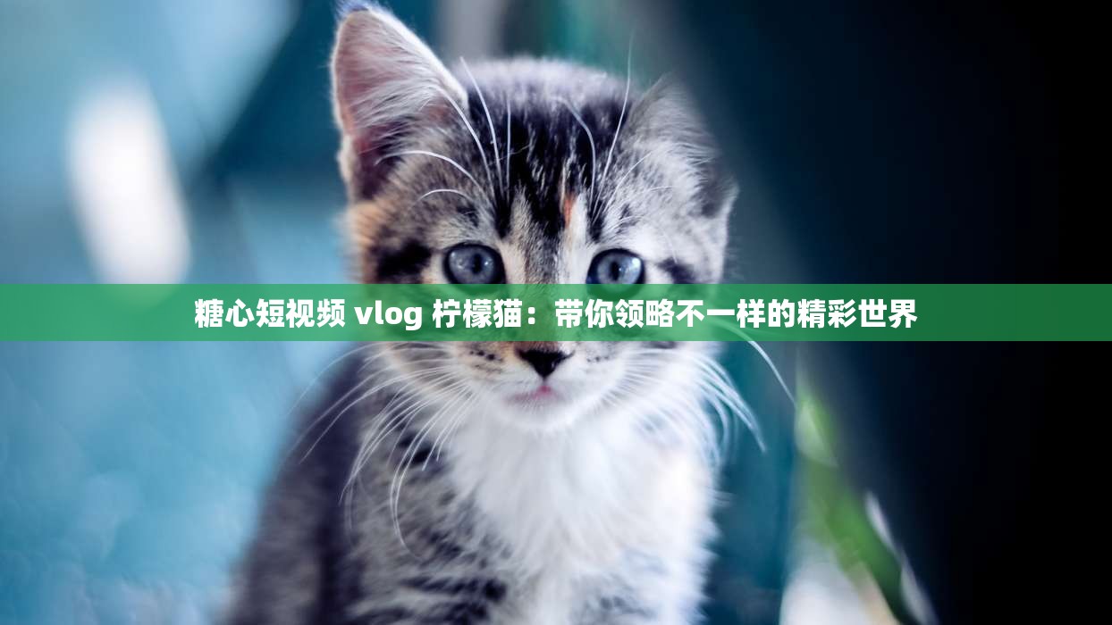 糖心短视频 vlog 柠檬猫：带你领略不一样的精彩世界